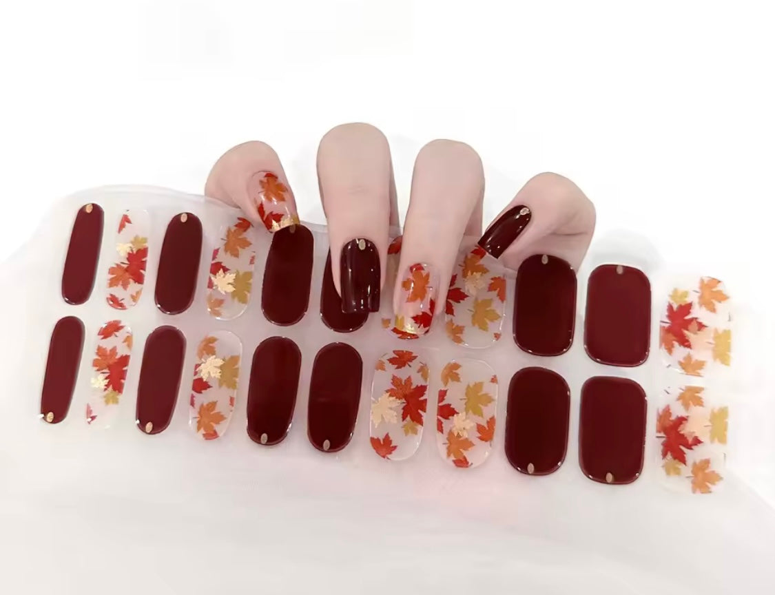 Autumn maple