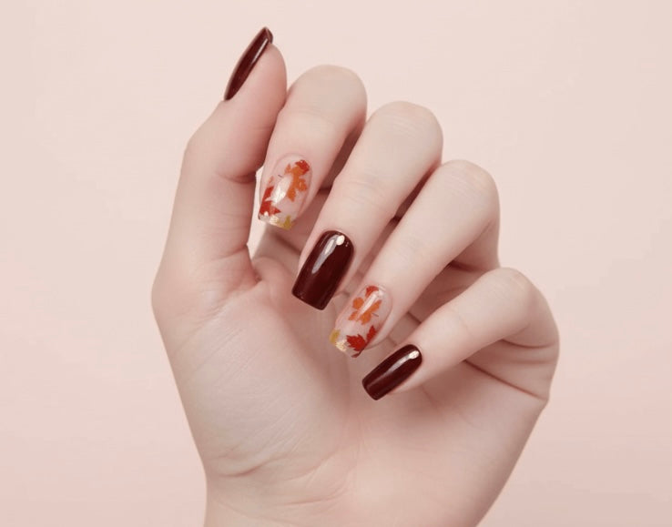 Autumn maple