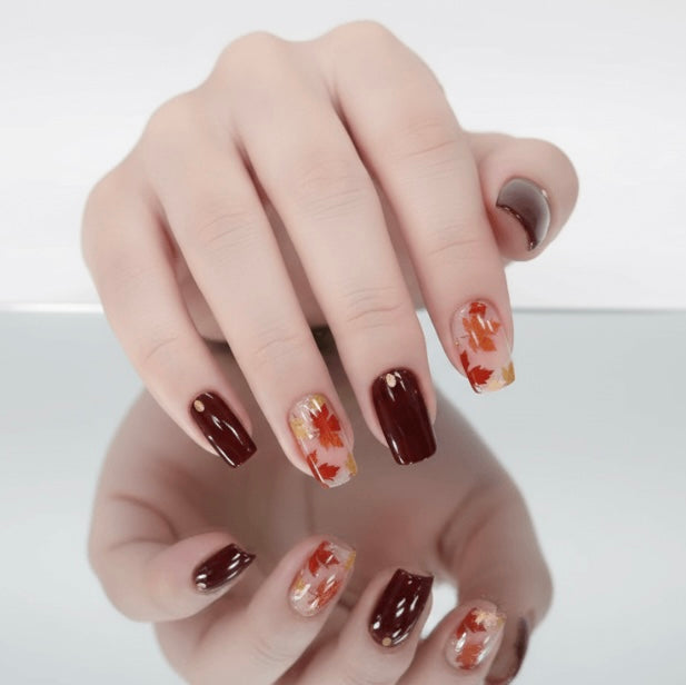 Autumn maple